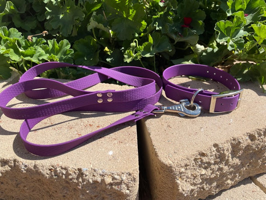 Collar and Lead Set